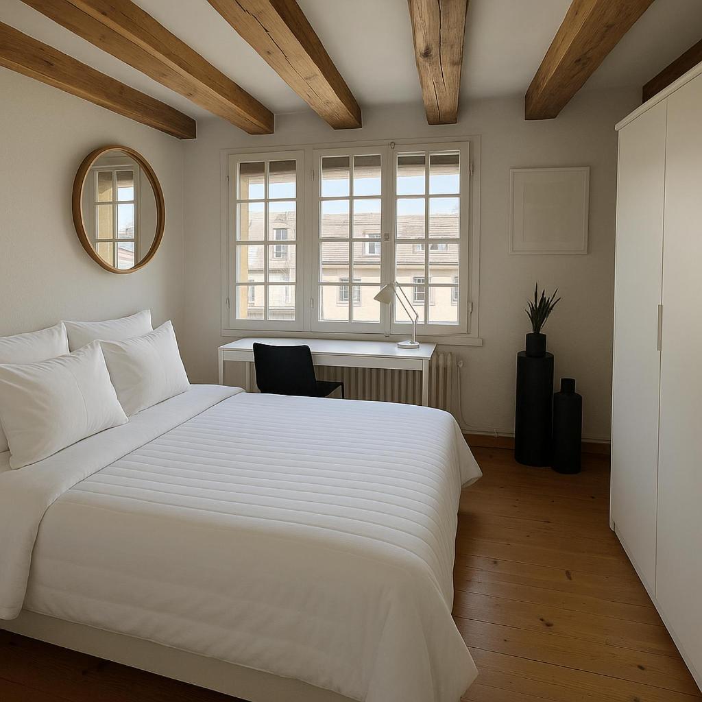 Apartamento Centre Ginebra